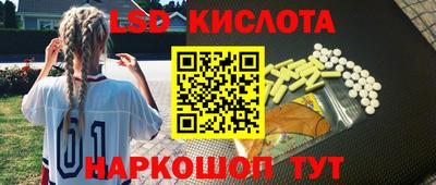 СК Севастополь