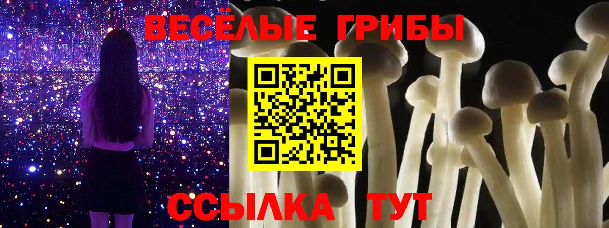 Ртищево  Галлюциногенные грибы Magic Shrooms  Галлюциногенные грибы Cubensis  где купить   Вход с VPN 